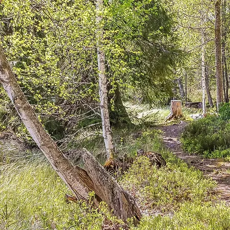 Heinaelampi By Interhome Laakkii