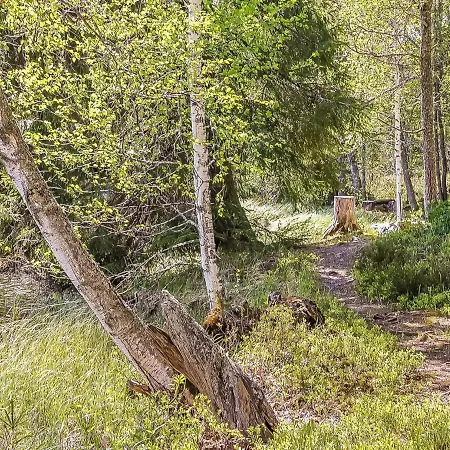 Heinaelampi By Interhome Vakantiehuis Laakkii