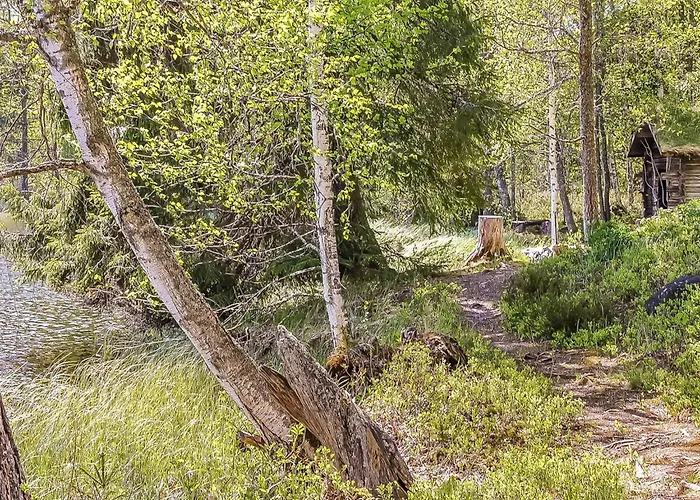 Heinaelampi By Interhome Laakkii